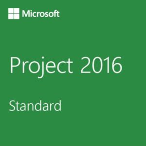 Logiciel Microsoft Project Standard 2016[Z9V-00349]