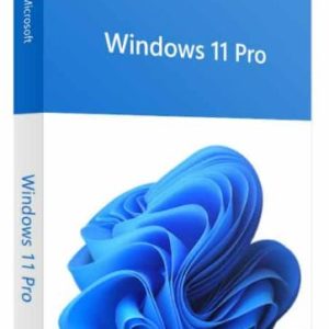 Logiciel Microsoft Windows 11 Pro French STK + CD[W11stk+cd]