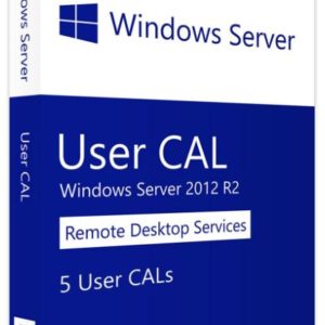 Logiciel Windows Server CAL 2012 French[R18-03666]
