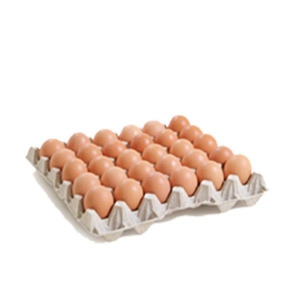 Alveole 30 Oeufs frais
