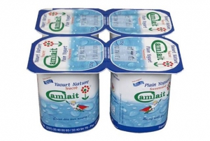 Pack Yaourts - 4X125g